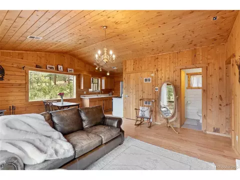 339 Hall Rd, Bailey, CO 80421 photo 6