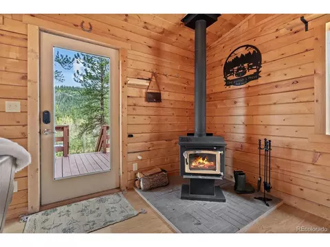 339 Hall Rd, Bailey, CO 80421 photo 2