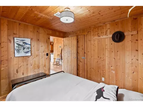 339 Hall Rd, Bailey, CO 80421 photo 11