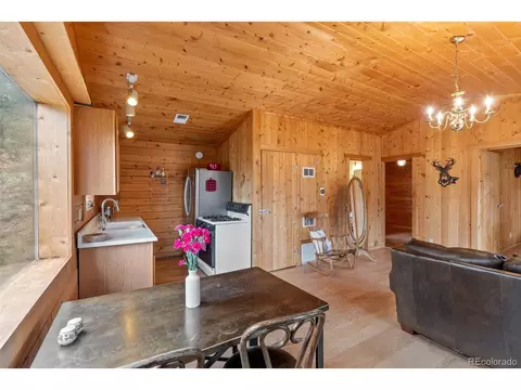 339 Hall Rd, Bailey, CO 80421 photo 7