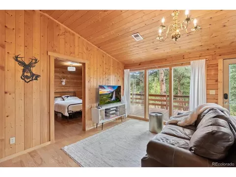 339 Hall Rd, Bailey, CO 80421 photo 5