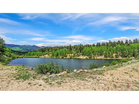 339 Hall Rd, Bailey, CO 80421 photo 29
