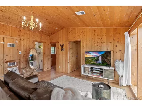 339 Hall Rd, Bailey, CO 80421 photo 4