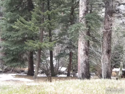 2834 Riverside Dr, Lyons, CO 80540 photo 13