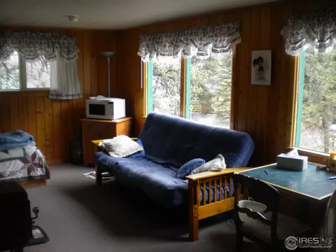2834 Riverside Dr, Lyons, CO 80540 photo 9