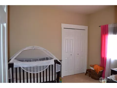 4331 Pennyroyal Ln, Evans, CO 80620 photo 10