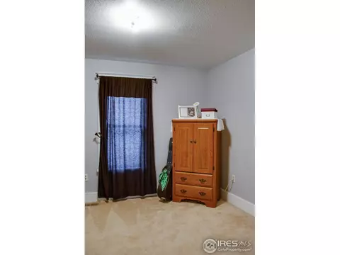 225 Walnut St, Windsor, CO 80550 photo 10