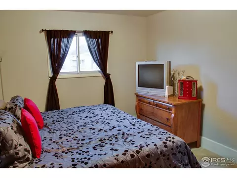 225 Walnut St, Windsor, CO 80550 photo 14