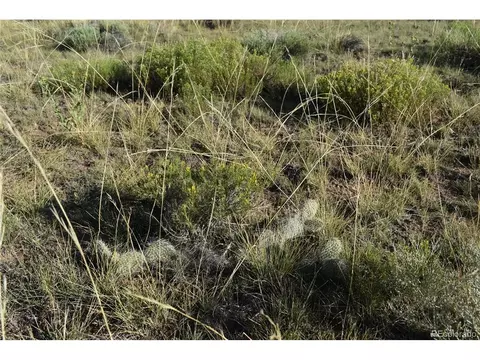 0 Lizard Ln, Gardner, CO 81040 photo 5