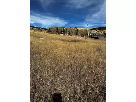 22 Prospect St, Cripple Creek, CO 80813