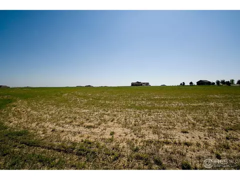 5442 Far View Ct, Windsor, CO 80550 photo 4