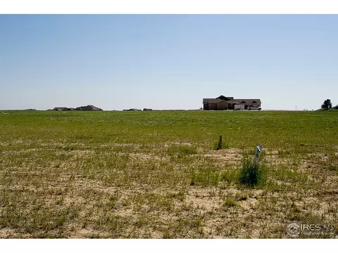 5442 Far View Ct, Windsor, CO 80550 photo 5