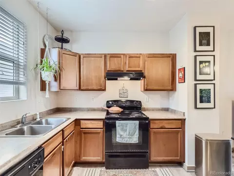10582 E 29th Dr, Denver, CO 80238 photo 11