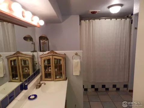 838 4th Ave, Lyons, CO 80540 photo 16