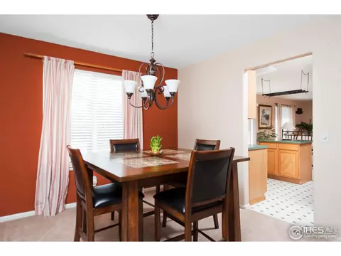 5256 E 119th Pl, Thornton, CO 80233 photo 10