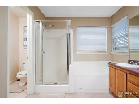5256 E 119th Pl, Thornton, CO 80233 photo 17
