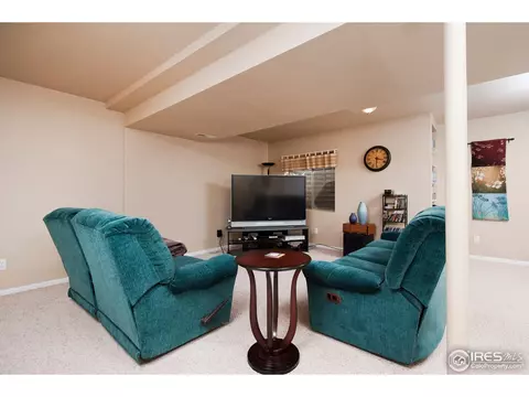 5256 E 119th Pl, Thornton, CO 80233 photo 22