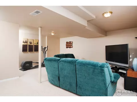 5256 E 119th Pl, Thornton, CO 80233 photo 23