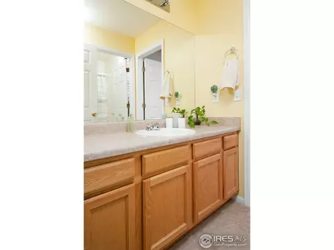 5256 E 119th Pl, Thornton, CO 80233 photo 18