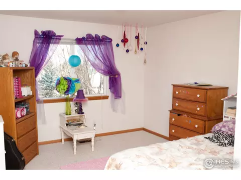 525 14th St, Windsor, CO 80550 photo 16