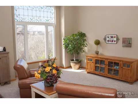 525 14th St, Windsor, CO 80550 photo 5