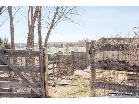 525 14th St, Windsor, CO 80550 photo 19
