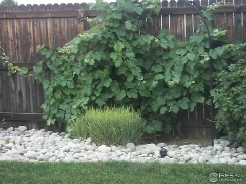 19751 E Wesley Pl, Aurora, CO 80013 photo 23