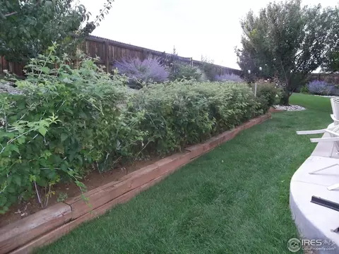 19751 E Wesley Pl, Aurora, CO 80013 photo 25