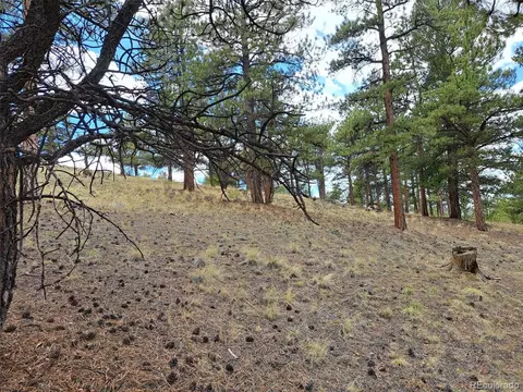 0 Spring St, Hartsel, CO 80449