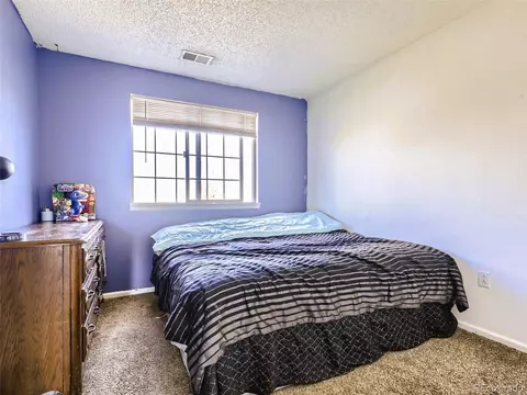 19406 E 58th Cir, Aurora, CO 80019 photo 15
