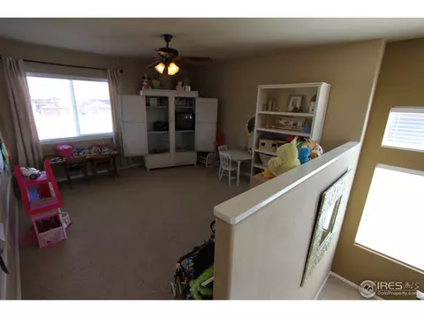 5586 Quarry St, Timnath, CO 80547 photo 8
