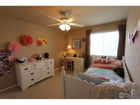 5586 Quarry St, Timnath, CO 80547 photo 11