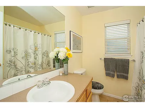 640 Foxtail Way, Severance, CO 80550 photo 17