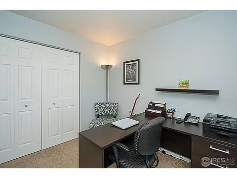 640 Foxtail Way, Severance, CO 80550 photo 19