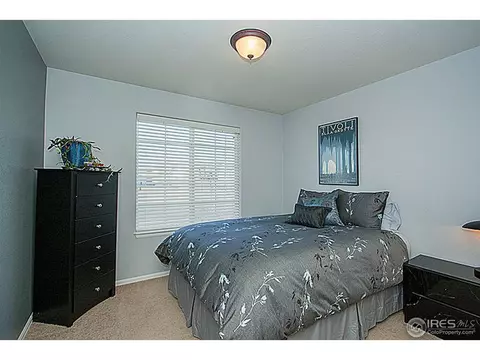 640 Foxtail Way, Severance, CO 80550 photo 16