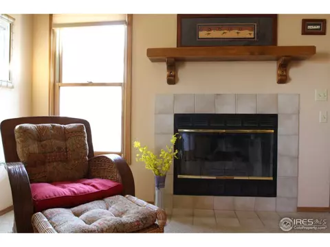 4601 Beverly Dr, Berthoud, CO 80513 photo 10
