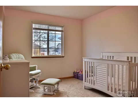 301 Cobble Dr, Windsor, CO 80550 photo 15