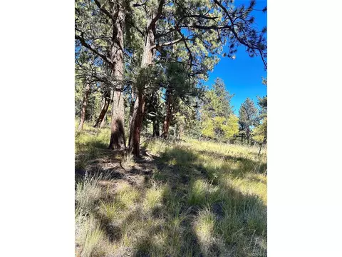 311 Pine Dr, Bailey, CO 80421 photo 12