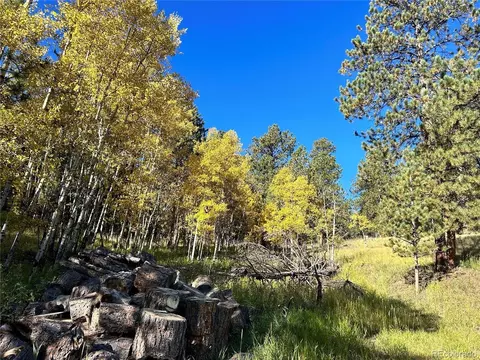 311 Pine Dr, Bailey, CO 80421 photo 3