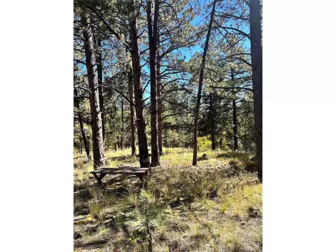311 Pine Dr, Bailey, CO 80421 photo 8