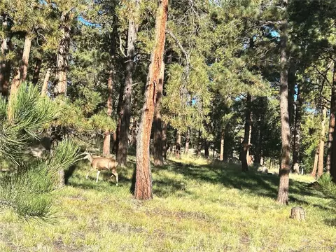 311 Pine Dr, Bailey, CO 80421 photo 15