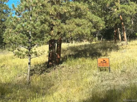 311 Pine Dr, Bailey, CO 80421 photo 20