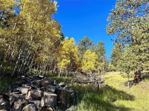 311 Pine Dr, Bailey, CO 80421 photo 6