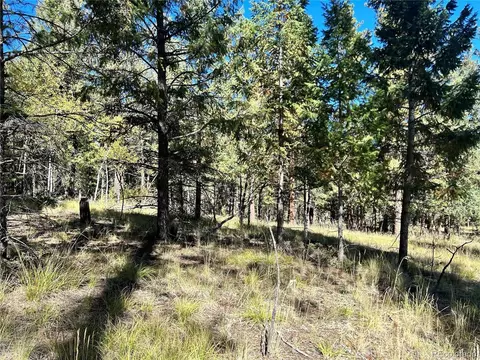 311 Pine Dr, Bailey, CO 80421 photo 10