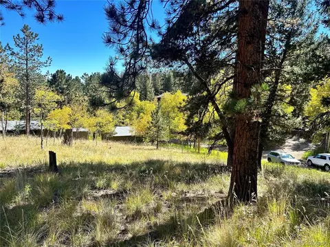 311 Pine Dr, Bailey, CO 80421 photo 11