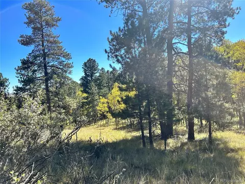 311 Pine Dr, Bailey, CO 80421 photo 9
