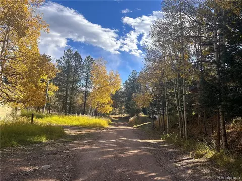 311 Pine Dr, Bailey, CO 80421 photo 7
