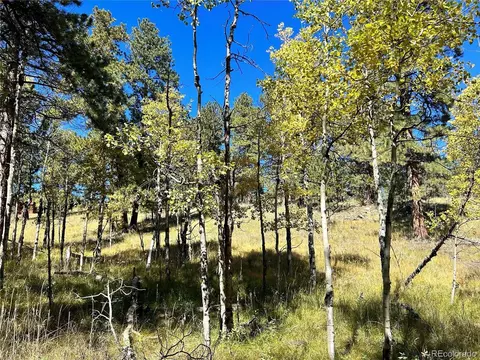 311 Pine Dr, Bailey, CO 80421 photo 4