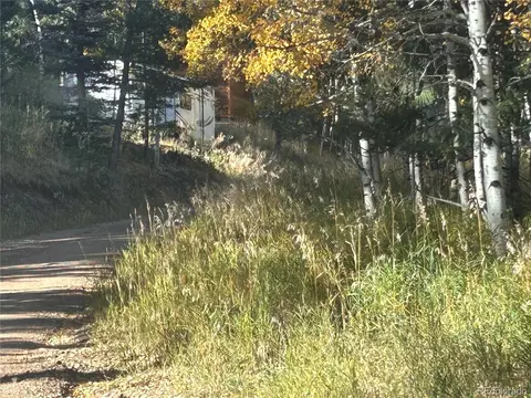 311 Pine Dr, Bailey, CO 80421 photo 19