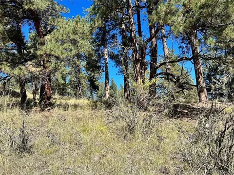 311 Pine Dr, Bailey, CO 80421 photo 2